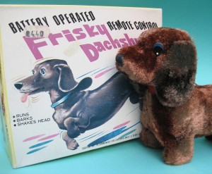 frisky dachsund