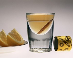 mezcal