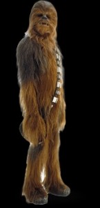 chewy