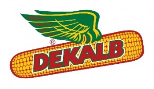 dekalb