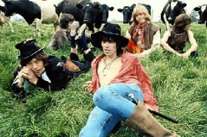 stones cow