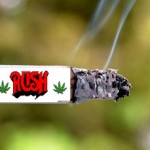 rush pot