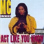 mc lyte