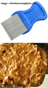 lice pick