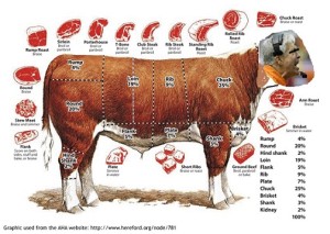 beef
