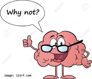 brain