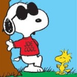 joe cool