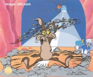 coyote