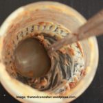 peanut butter