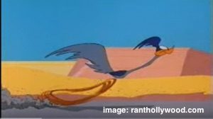 roadrunner