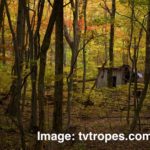 woods