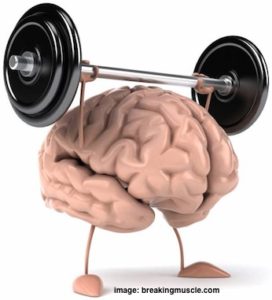 musclebrain