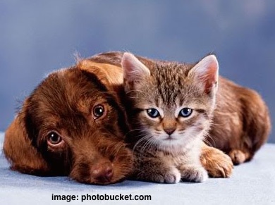 friendhug